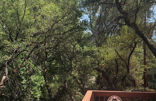 Sedona Cabin | Cozy Creekside Glamping in a Funky Studio Cabin in Oak Creek Canyon, Sedona AZ