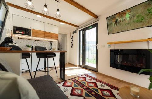 Saru Dornei House | Cozy Cube - tiny house