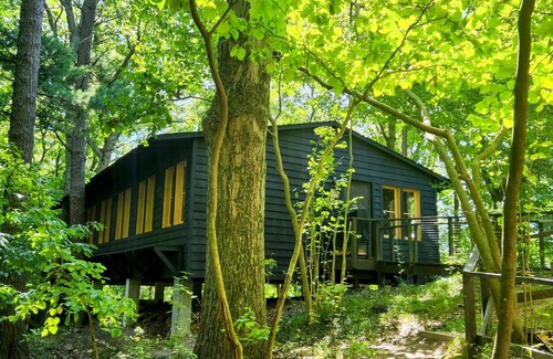 Shelby Cottage | Cozy, cute, clean cottage near Lake Michigan