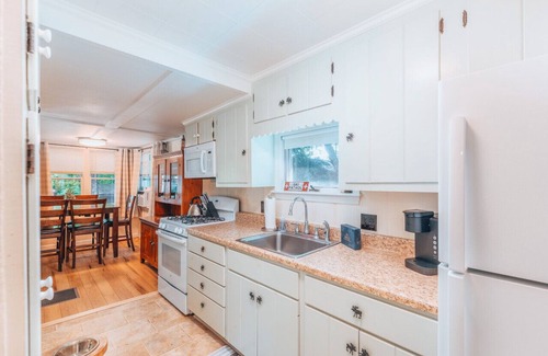 Cranmore Birches Cabin | Cozy dog friendly cabin moments from Cranmore/NOCO