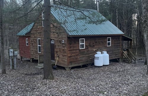 Altmar Cabin | Cozy Family Cabin, hot tub, fishing, hiking, ATV, snowmobiling, read a book