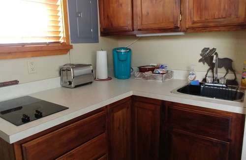 Walden Cabin | Cozy getaway in the "Moose Viewing Capital of Colorado"! Dogs welcome!