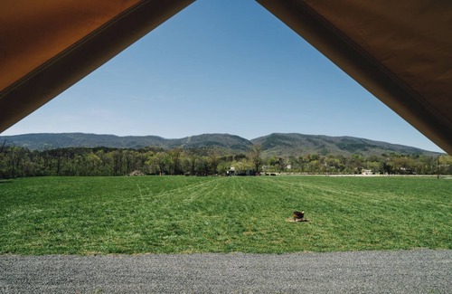 Glen Wilton Cabin | Cozy Glamping on the Banks of the James River.