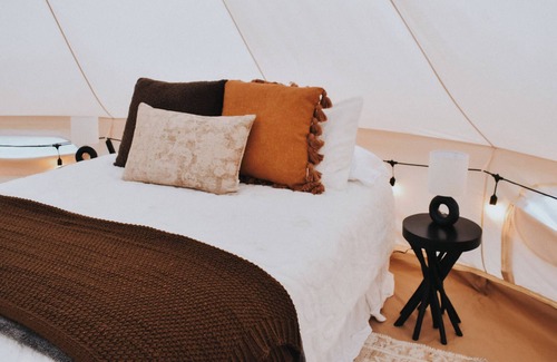 Nordland RV Rental | Cozy glamping tent on Marrowstone Island nestled in a breathtaking apple orchard