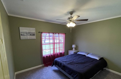 Harlingen House | Cozy Green Heaven!