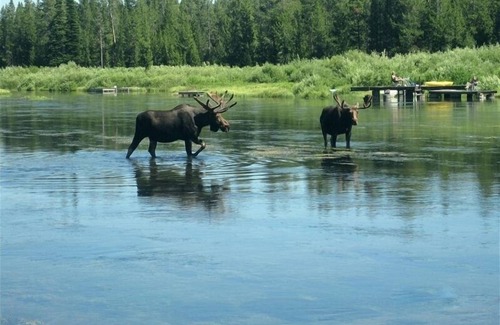 Island Park Cabin | Cozy Guest Cabin by Henry's Lake & Near Yellowstone