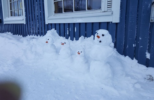 Saariselka Apartment | Cozy holiday apartment Marjamajat F44 with private sauna