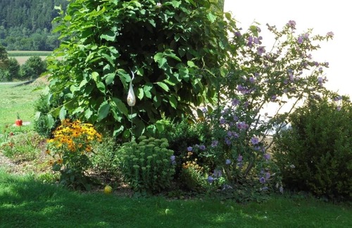 Tannesberg Apartment | Cozy holiday home (120sqm) with panoramic views