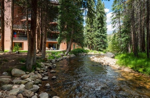 Old Town Condo | Cozy home base for a great trip!