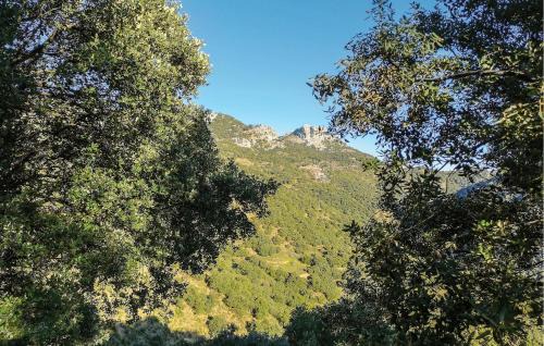 Benalauria House | Cozy Home In Benalaureia With Kitchen