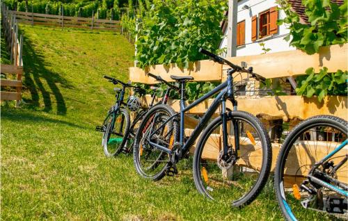 Pregrada House | Cozy Home In Vrhi Vinagorski