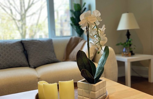 East York House | Cozy House, cottage style in midtown Toronto. Great for Family. Pet friendly