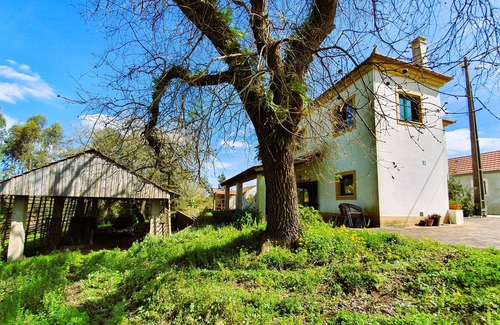 Pombal House | Cozy house in quiet village with generous outdoor space near Pombal