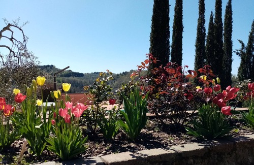 Montecastello House | Cozy house in the beautiful Tuscan countryside with private pool