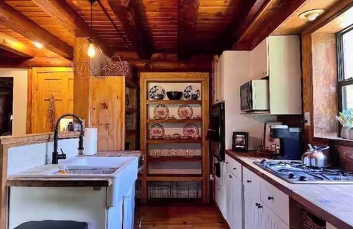 Lookout Mountain Apartment | Cozy King Size Fireplace Log Cabin Apartment on Lookout Mountain