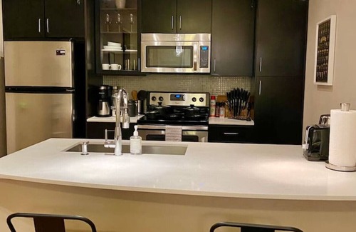 Texas Medical Center Apartment | Cozy Kingbed | MedCenter | NRG| FREE Parking