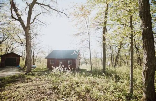 Mindoro Cabin | Cozy Krueger Cabin @ Highest Elevation in CTY