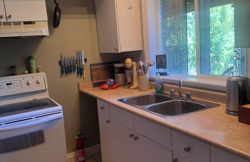 Regional District of Nanaimo Apartment | Cozy Lakeside Retreat