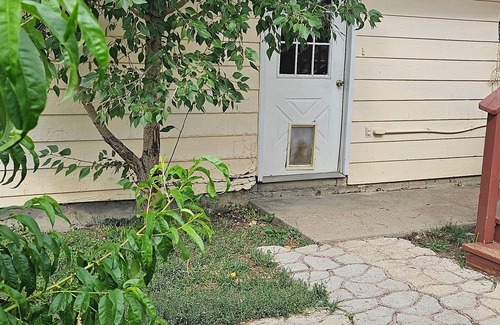 Craig House | Cozy little apartment in a quiet neighborhood in town. Dog friendly.