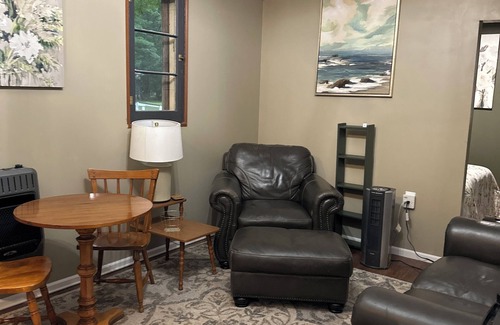Big Rapids Cabin | Cozy Little Cabin #4