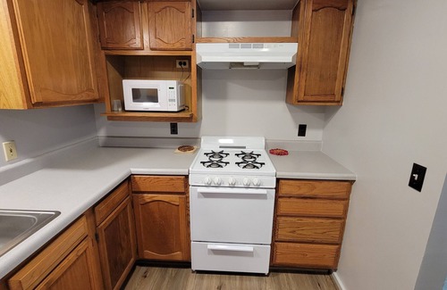 Bellaire RV Rental | Cozy little cabin in a campground backed up to the peaceful woods.