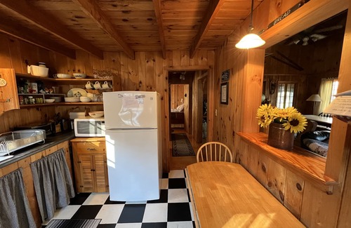 Bristol Cottage | Cozy, lodge-style cottage in wooded, quiet lakeside neighborhood