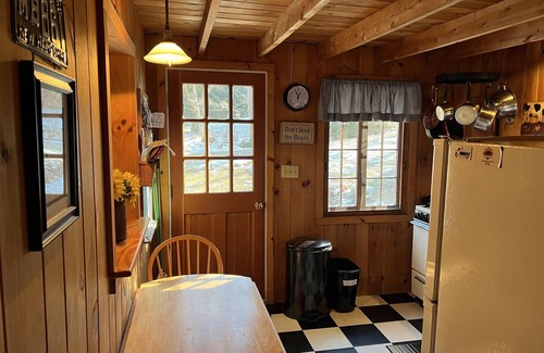 Bristol Cottage | Cozy, lodge-style cottage in wooded, quiet lakeside neighborhood