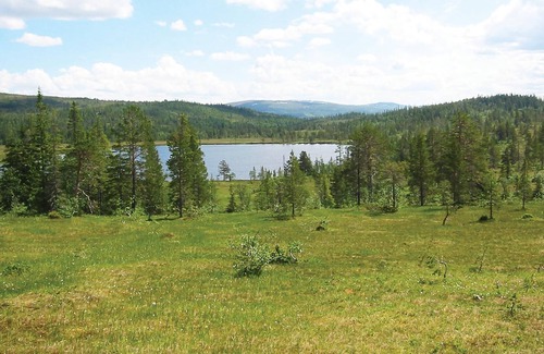 Holtalen House | Cozy log cabin in undisturbed location in Haltdalen.