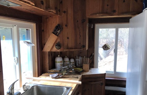 Bitely Cabin | Cozy log cabin on the banks of the Little South Branch, Pere Marquette River