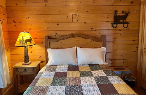 Lyle House | Cozy Log Cabin at Hartland Lake