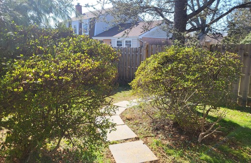 Burtonsville House | Cozy Lower Level Retreat Near Silver Spring