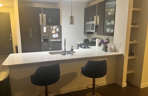 Braeswood Place Apartment | Cozy Luxury One Bedroom in the Heart of Houston Medical Center