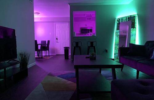 Braeswood Place Apartment | Cozy Medical Center Luxury Vegas Styled Home NRG