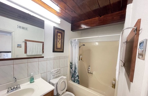 Centerville Apartment | Cozy modern 1Bed/1Bath studio in Fremont