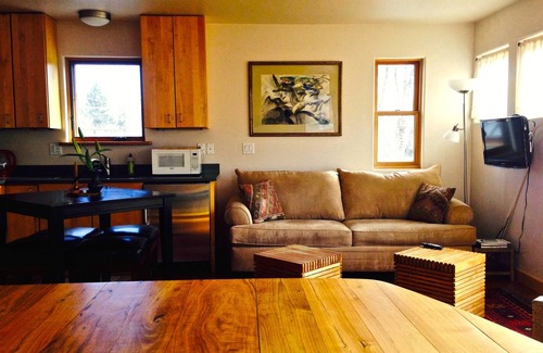 Carbondale House | Cozy Modern Apartment ~ walking distance to Carbondale's restaurants/bars/sights