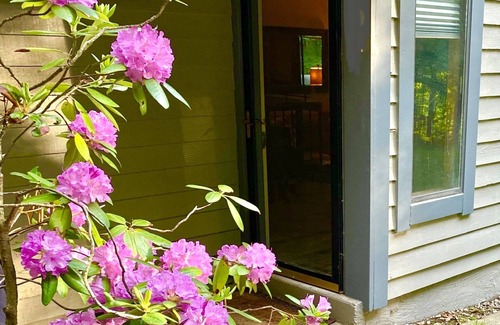 Seven Springs Condo | Cozy Mountain Retreat
