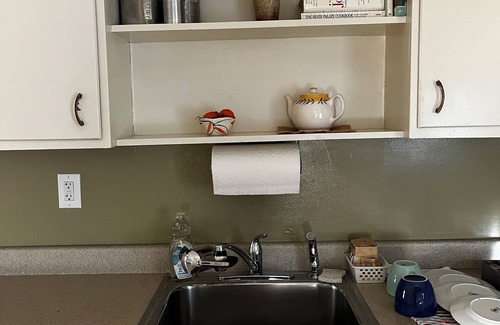 Irving Park Apartment | Cozy, Natural Albany Park Apartment