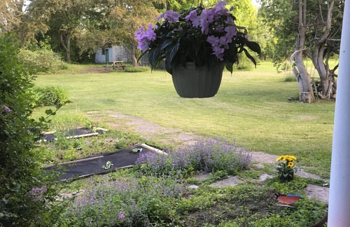 Indian River House | Cozy Nature Retreat 12 minutes from Peterborough- Perfect for Writers & Artists