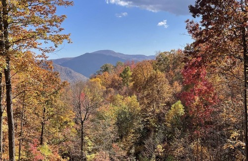 Skyland Cabin | Cozy New Log Cabin private setting with Mountain Views all year round