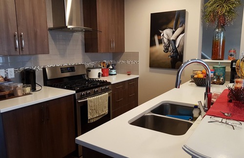 Southeast Calgary House | Cozy new unit near restaurants, bars, stores, bus stations, and hospital.