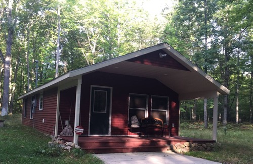 Chase Cabin | Cozy newer cabin located on 40 wooded acres
