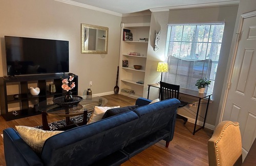Houston Apartment | Cozy North Houston 1BDR KING BED