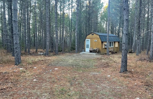 Ely Cabin | Cozy Off Grid cabin open year round in charming Ely.