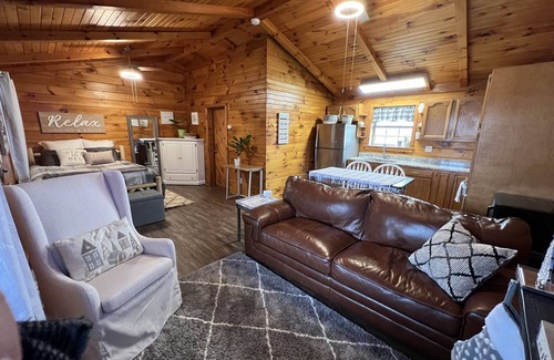 Stony Ridge Cabin | Cozy Perrysburg Cabin - Studio with Fireplace!