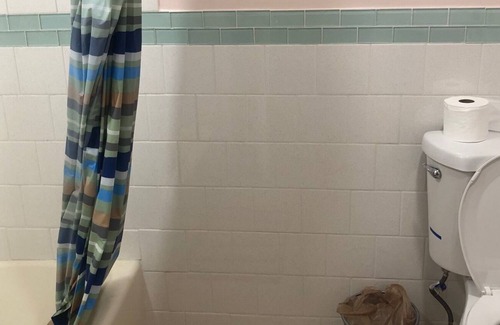 Binghamton Apartment | Cozy Peruvian Lily=5 minutes walk to UHS and shops. 2 mins walk to the Zoo.