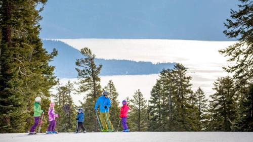 Tahoe Pines House | Cozy Pet-Friendly Cabin Private Hot Tub Fenced In Yard Book on Mobile for Promo Price