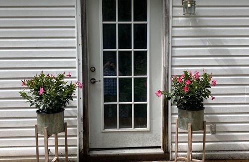 Wilderness Cottage | Cozy pet friendly guest house