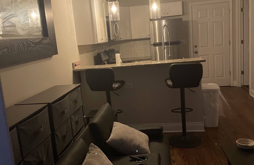 Heart of Chicago Apartment | Cozy Pilsen Apartment