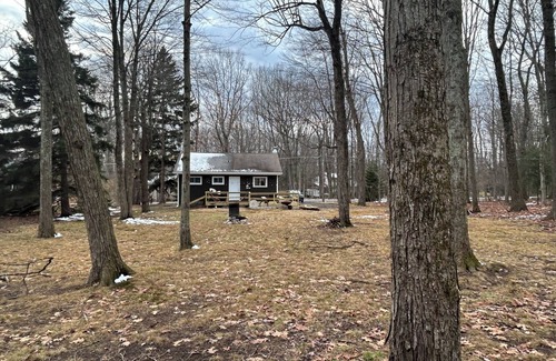 Pocono Summit Cabin | Cozy Pine Cabin in the heart of the Poconos.