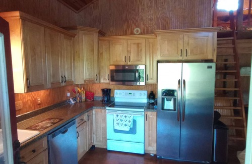 Coosa Cabin | Cozy private cabin on 10 acres with 300+ feet of water front. Pet friendly.